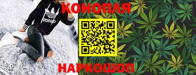 СК Краснознаменск