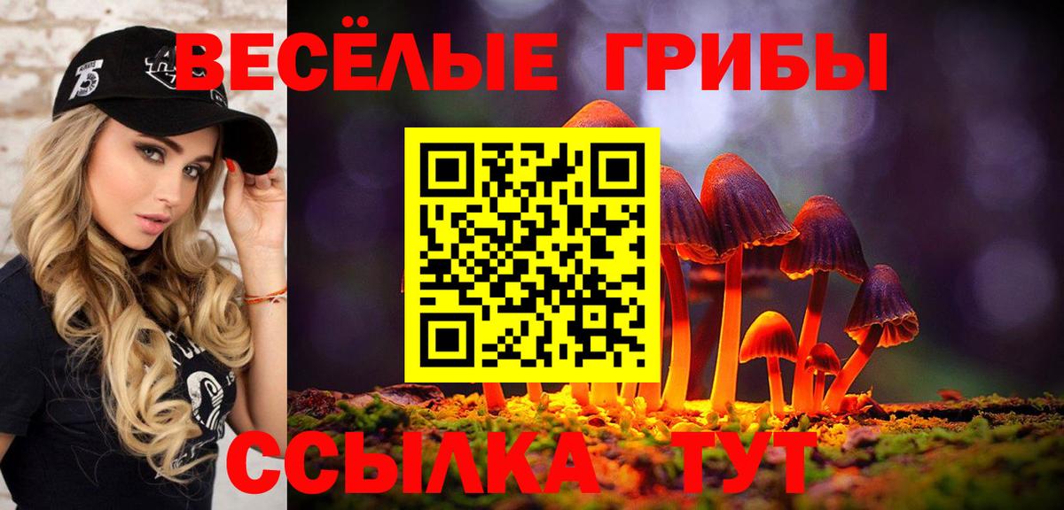 Псилоцибиновые грибы мухоморы Чернушка